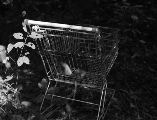 Awareness of Sustainability Drives 71% of South Africans to Pay More for Eco-Friendly Products