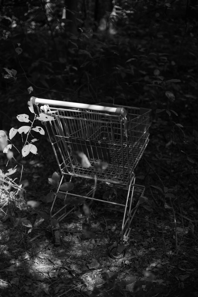 Awareness of Sustainability Drives
