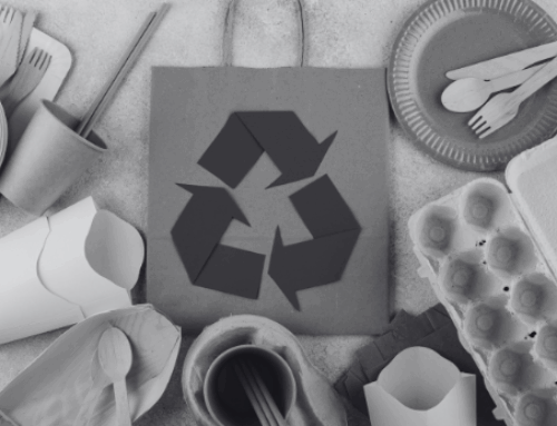 Sustainability and Ethics: How South Africans See the Future in 2025