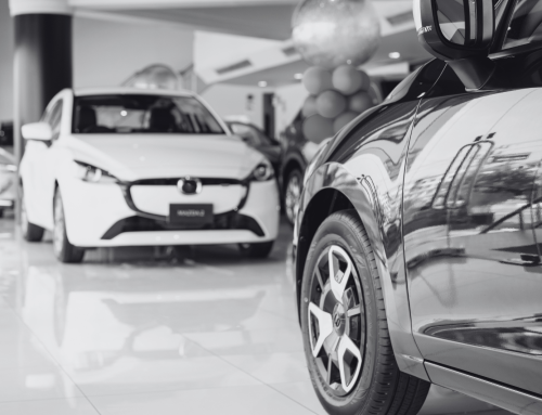 The Four Mindsets Reshaping the SA Car Market