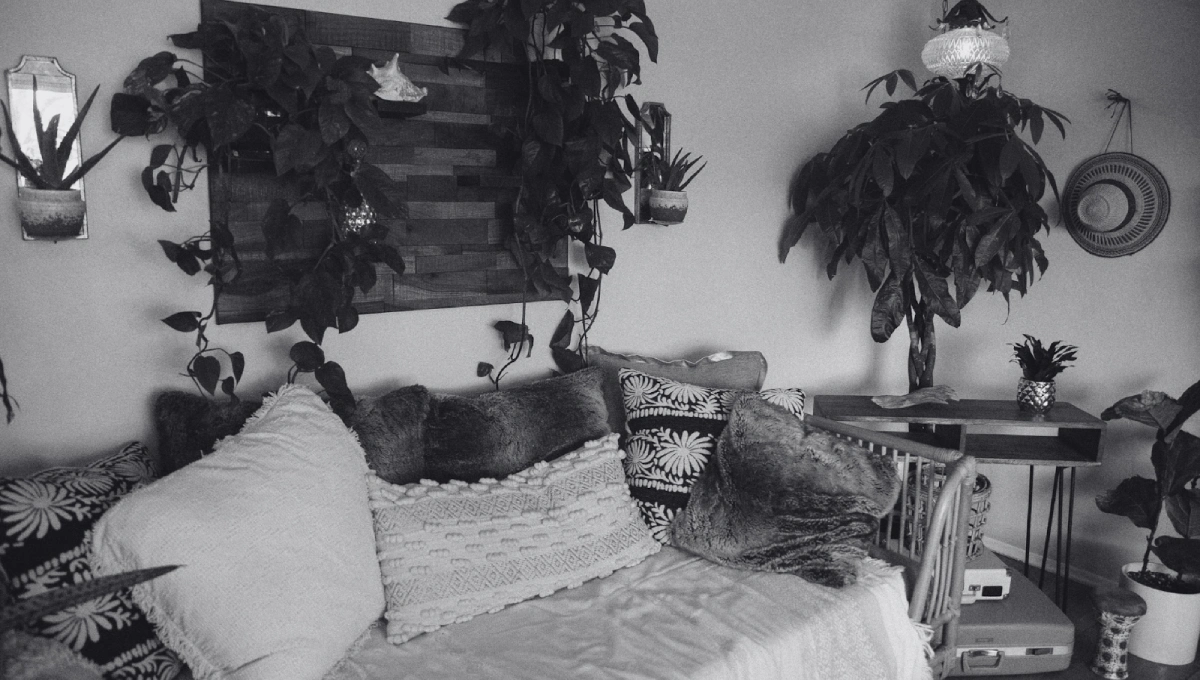 Top 10 Home Decor Trends for 2024