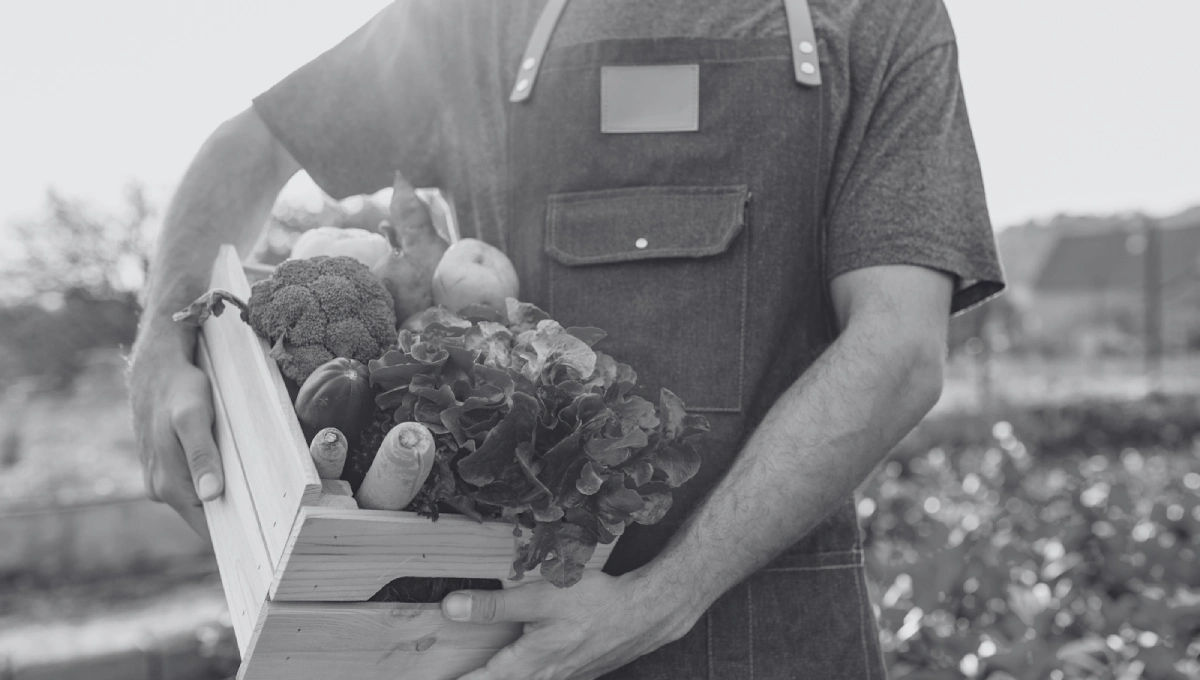 Understanding Market Trends in Organic Food Consumption