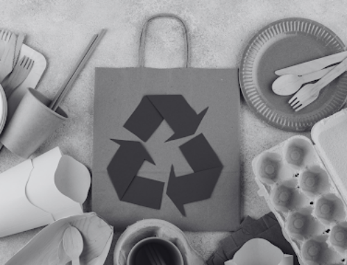 Sustainability Spotlight: How Consumers Are Embracing Eco-Friendly Practices